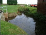 reed cutting watercourse management